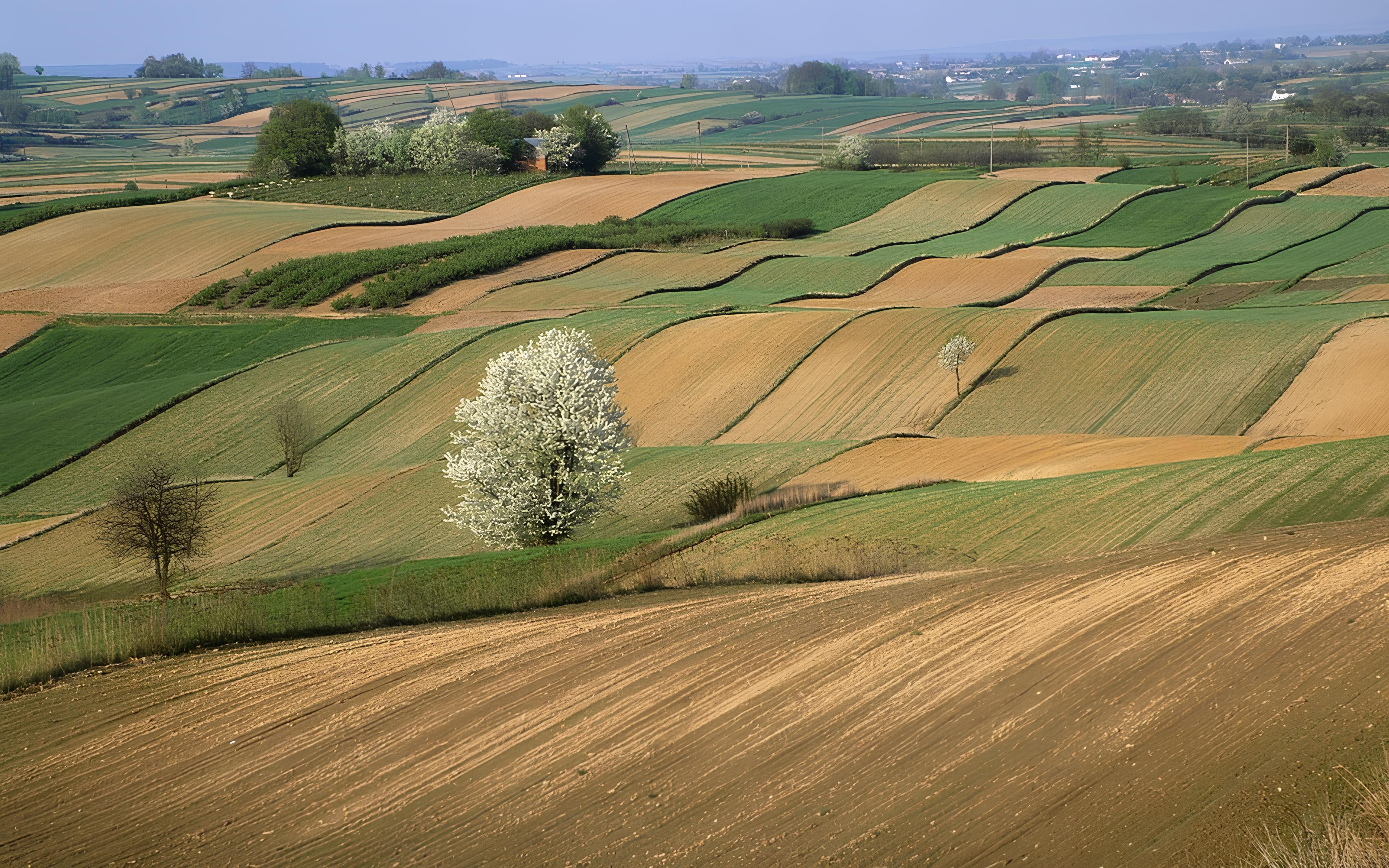 Beautiful landscape with green hills