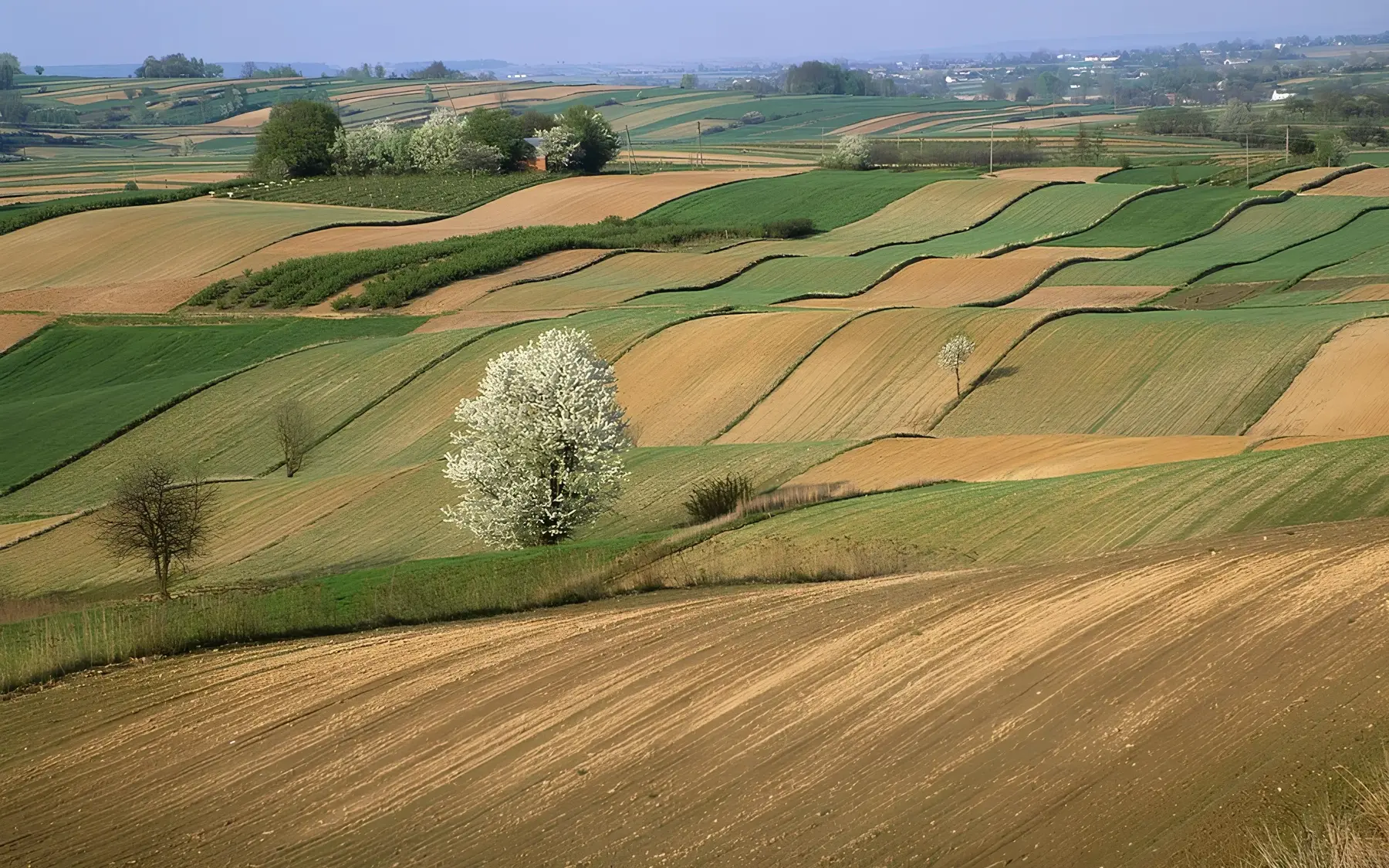 Beautiful landscape with green hills